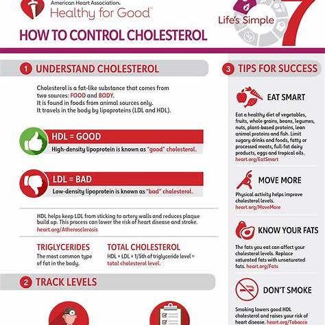 Infographic showing 6 lifestyle habits to prevent high cholesterol – SELFLOVECLUB